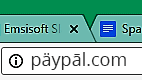 Punycode PayPal網(wǎng)絡(luò)釣魚詐騙示例