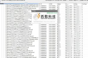 湖北荆州某红叶针织有限公司数据库中毒，数据库文件成功恢复
