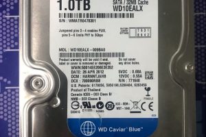 马女士1TB西数硬盘开盘数据恢复成功