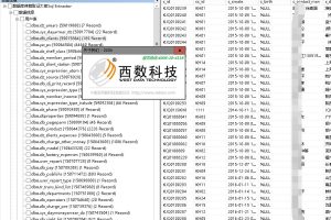 江苏某书局数据库成功修复