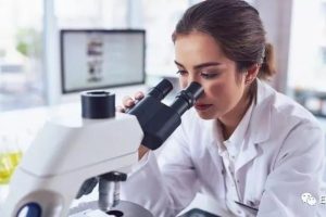 英国最大的法医司法鉴定提机构遭勒索软件攻击