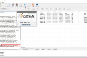成都某网络科技有限公司数据库表数据意外删除,表成功恢复