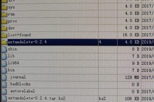 杭州某派讯科技LINUX数据库误删除，碎片成功恢复